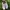 Reebok Casual Sneakers Pria white photo 2