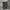 Under Armour Sportswear Short Pria gray photo 1