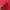 Converse Pakaian Nasional Hoody Pria red photo 6