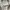 Japanese brand Vintage Streetwear Hoody Pria tan photo 6