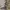 Japanese brand Vintage Streetwear Hoody Pria tan photo 4