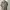 Carhartt Streetwear Casual Polo shirt Pria green photo 6