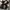 VANS Streetwear Sneakers Pria white black photo 3