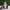 Adidas Casual Sneakers Pria white black photo 4