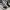 Adidas Casual Sneakers Pria white black photo 2