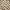 Japanese brand Casual Casual shirt Pria tan photo 4