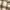 Japanese brand Casual Casual shirt Pria tan photo 6