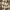 Japanese brand Casual Casual shirt Pria tan photo 7