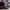 VANS Streetwear Sneakers Pria white black photo 2