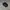 New Era Streetwear Sportswear Hat Pria navy photo 4