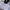 New Era Streetwear Sportswear Hat Pria navy photo 7