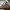 Nike Streetwear Sportswear Sneakers Pria white photo 1