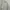 Streetwear Minimalist Hoody Pria white black photo 2