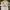 Adidas Vintage Jersey Pria white black photo 1