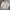Polo Ralph Lauren Vintage Minimalist Harrington jacket Pria cream photo 1