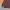 Lee Streetwear Casual Casual shirt Pria multicolor photo 2
