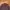 Lee Streetwear Casual Casual shirt Pria multicolor photo 3