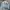 Lee Vintage Grunge Denim jacket Pria blue photo 5