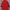 The North Face Pakaian Nasional Track jacket Wanita red photo 1