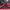 The North Face Pakaian Nasional Track jacket Wanita red photo 7