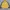 Nike Pakaian Nasional Track jacket Pria yellow photo 1