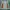 K2 Gorpcore Track jacket Wanita green photo 5
