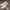 Tommy Hilfiger Casual Sneakers Pria white photo 5