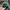 Covernat Casual Hat Pria multicolor photo 3