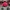 Nike Casual Hat Pria red photo 2