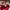 Nike Casual Hat Pria red photo 6