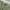 GAP Casual Casual pants Pria green photo 6