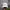 Feltics Minimalist Casual Hat Pria White