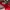 FUBU Casual Hat Pria red photo 6