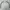 Adidas Sportswear Windbreaker Pria white photo 1