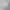 Adidas Sportswear Windbreaker Pria white photo 4