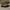 Converse Casual Sneakers Pria white black photo 4