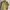 GU Streetwear Casual Formal shirt Pria cream photo 4