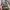 Japanese brand Streetwear Jeans Pria multicolor photo 4