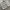Streetwear Jeans Pria multicolor photo 3