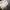 Nudie Luxury Casual Jeans Pria multicolor photo 5