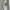 Carhartt Streetwear Casual Sweatshirt Pria Gray