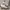 Adidas Streetwear Casual Sneakers Pria green white photo 1