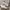 Adidas Streetwear Casual Sneakers Pria Green White