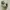 Adidas Streetwear Casual Sneakers Pria green white photo 3