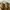 Pull & Bear Streetwear Skater Hat Pria tan brown photo 4