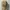 Pull & Bear Streetwear Skater Hat Pria tan brown photo 3