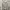 MLB Casual Hoody Pria white gray photo 1
