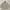 Japanese Brand Gorpcore Casual Parka Pria Khaki Cream