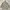 Japanese Brand Gorpcore Casual Parka Pria Khaki Cream