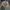 Vintage Y2K Fur coat Wanita green tan photo 2